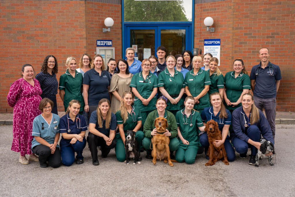 Rutland House Veterinary Hospital (Web) 050