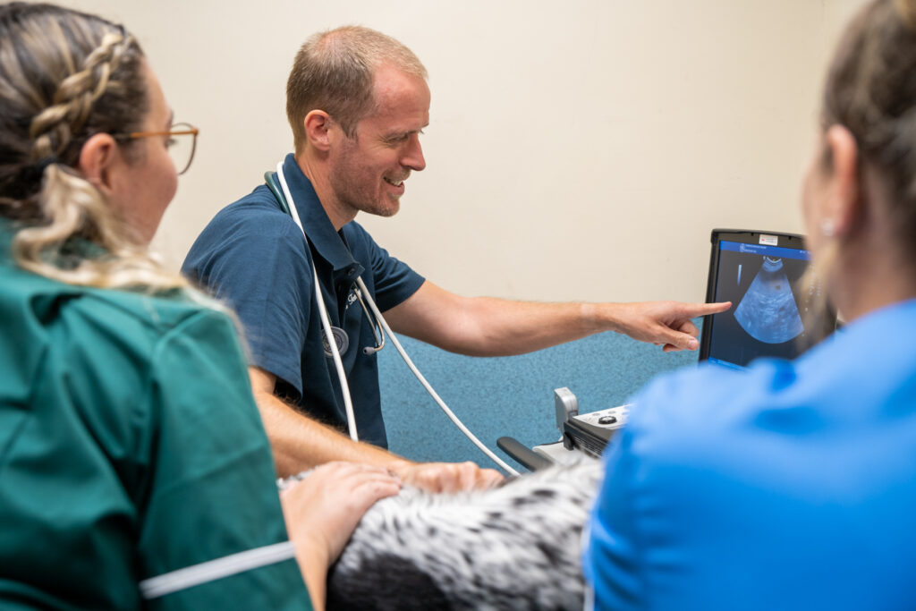 Rutland House (Web) 022