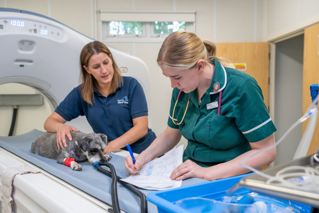 Rutland House (Web) 051