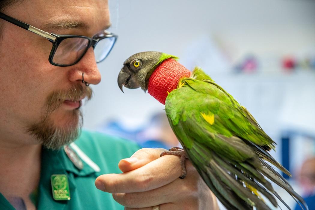 Rutland House Referrals Exotics